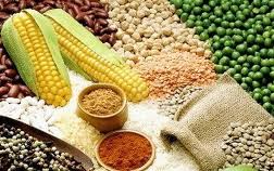 អាមេរិកផ្អាកការផ្តល់ជំនួយស្បៀងអាហារឲ្យសាធារណរដ្ឋប្រជាធិបតេយ្យប្រជាមានិតកូរ៉េ